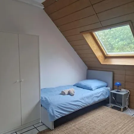 Duplex With Patio Near Exhibition Messe Appartement Cologne
